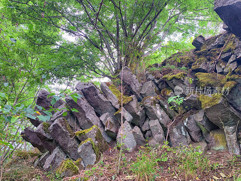 德国艾菲尔国家公园Hohe Acht山的六角形玄武岩柱。